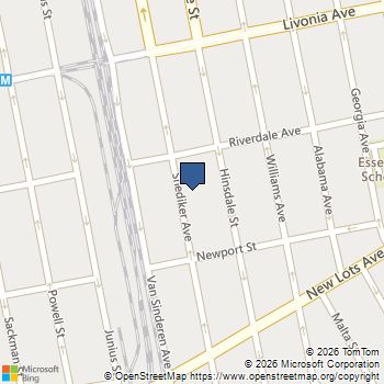 533 SNEDIKER Avenue Brooklyn, NY MLS# RLS20068944