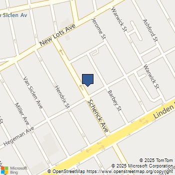 711 SCHENCK Avenue Brooklyn, NY MLS# RLS20043881