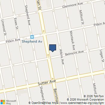 217 Berriman Street Brooklyn, NY MLS# 978886