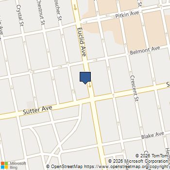 560 Euclid Avenue Brooklyn, NY MLS# RLS20117035