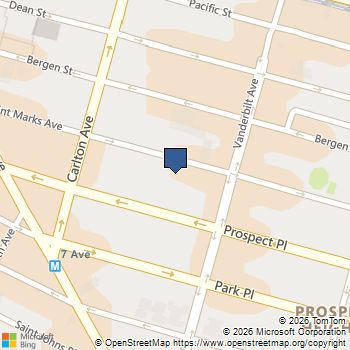 200 St Marks Avenue 2 Brooklyn, NY MLS# RLS20098884