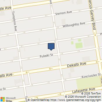 197 PULASKI Street PENTHOUSE Brooklyn, NY MLS# RLS20072776