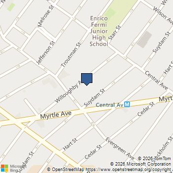 994 WILLOUGHBY Avenue Brooklyn, NY MLS# RLS20089405