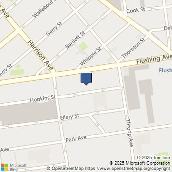 163 HOPKINS Street Brooklyn, NY MLS# RLS20057624