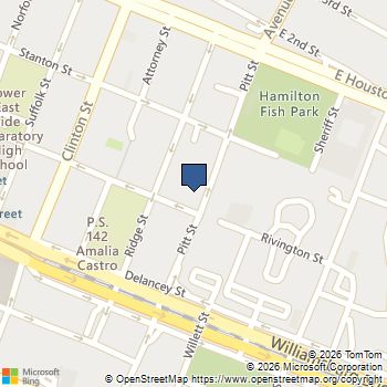 85 Pitt Street New York, NY MLS# 505120