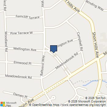 29 Glenwood Dr Short Hills, NJ MLS# 4003540