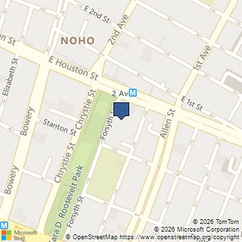 204 FORSYTH Street 4S Manhattan, NY MLS# RLS20105156