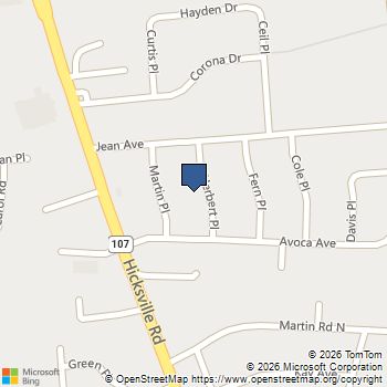 317 Herbert Place Bethpage, NY MLS# 1003465