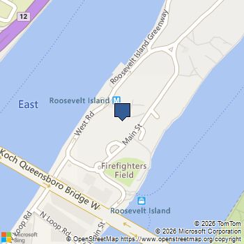 425 MAIN Street 10E Manhattan, NY MLS# RLS20068796