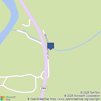 100 Wonder Stamp Ln Big Bar, CA MLS# 41103995