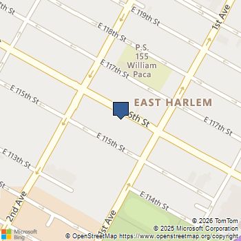 332 E 116th Street 2 Manhattan, NY MLS# RLS20054595