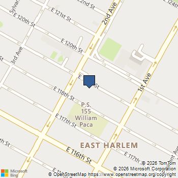 312 E 119TH Street 3 Manhattan, NY MLS# RLS20083093