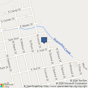 115 N Locust Street Mt Carmel, PA MLS# PANU2003020