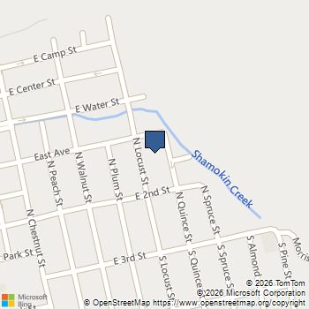 133 N Locust Street Mount Carmel, PA MLS# PANU2003160