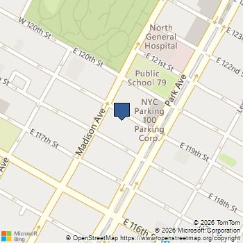 60 E 119th Street 2 Manhattan, NY MLS# RLS20107291