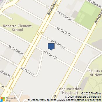 541 W 133RD Street 1 Manhattan, NY MLS# RLS20042526