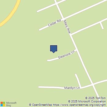 100 Eleanore Ln Trinity Center, CA MLS# 41101850