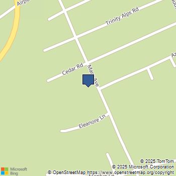 250 Mary Ave. Trinity Center, CA MLS# 41110941