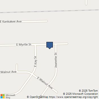 597 Jeanette Street Herscher, IL MLS# 06697994