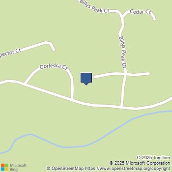 30 Dorleska Ct. Trinity Center, CA MLS# 41103242