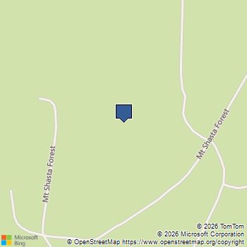 21 Ridge Drive McCloud, CA MLS# ML82031545