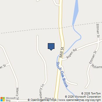 3830 Cranberry Lane Shrub Oak, NY MLS# 988886