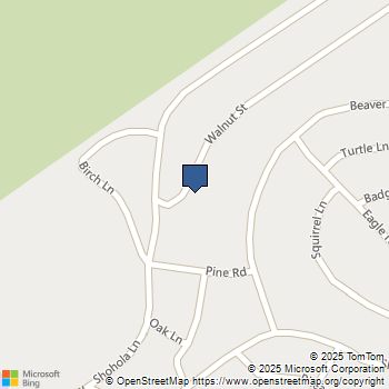 107 Walnut Street Shohola, PA MLS# PW253116