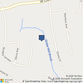50 Bissell Place Seymour, CT MLS# 24093806