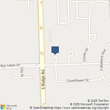 1133 Coneflower Court Minooka, IL MLS# 12483886