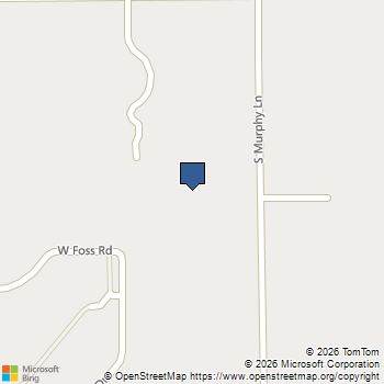 24700 S Murphy Lane Monee, IL MLS# 12542106