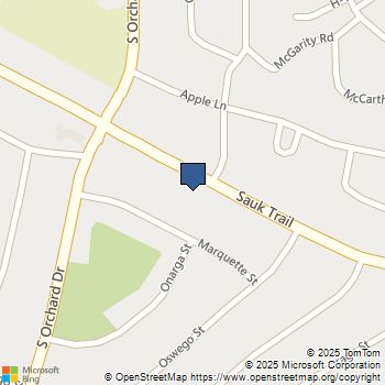 49 Sauk Trail Park Forest, IL MLS# 12531859