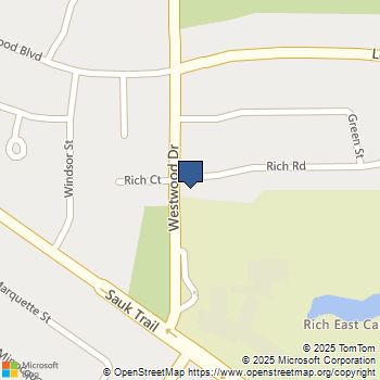 289 Westwood Drive Park Forest, IL MLS# 12536403