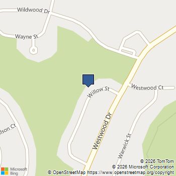 110 Willow Street Park Forest, IL MLS# 12773064