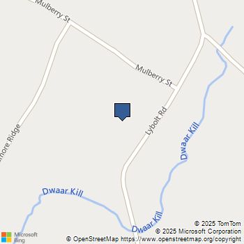 411 Lybolt Middletown, NY MLS# 944129