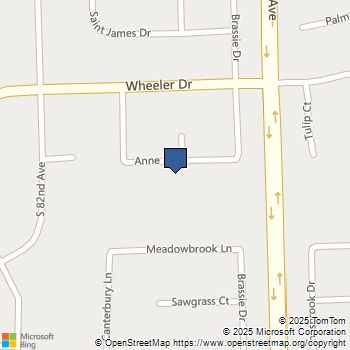 8035 Anne Drive Orland Park, IL MLS# 12534267