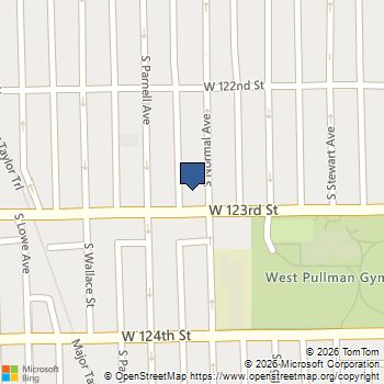12252 S Normal Avenue Chicago, IL MLS# 12637861