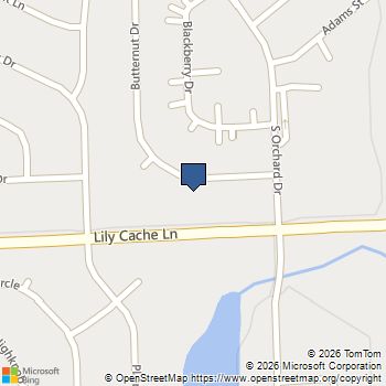 261 Butternut Drive Bolingbrook, IL MLS# 12632992