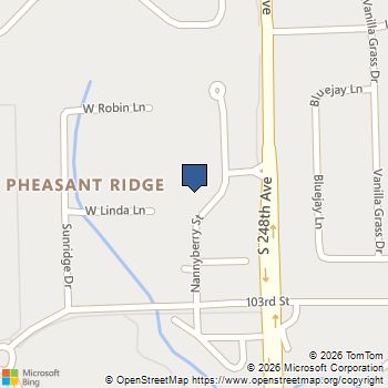 3907 Nannyberry Street Naperville, IL MLS# 12554458