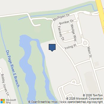 6420 Double Eagle Drive # 613 Woodridge, IL MLS# 12728518
