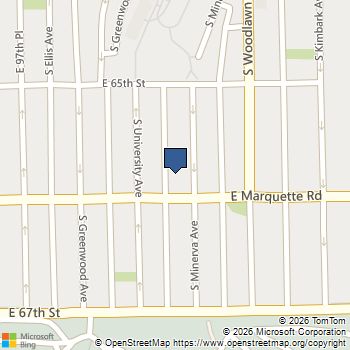 6550 S Minerva Avenue Chicago, IL MLS# 12638029
