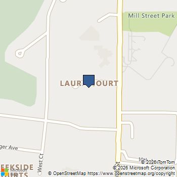 466 Laura Court Naperville, IL MLS# 12765432