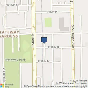 24 E 37th Place Chicago, IL MLS# 12486181