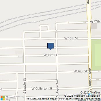 2108 W 18th Place # 2 Chicago, IL MLS# 12708645