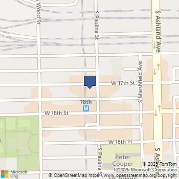 1702 S Paulina Street Chicago, IL MLS# 12530347