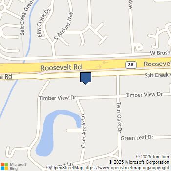 274 Timber View Drive Oak Brook, IL MLS# 12536823