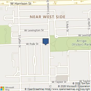 800 S Loomis Street # 2 Chicago, IL MLS# 12711877