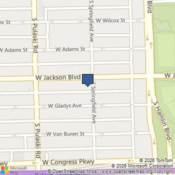 310 S Springfield Avenue # 3N Chicago, IL MLS# 12550645