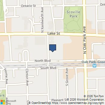 110 N Kenilworth Avenue # 2A Oak Park, IL MLS# 12784524