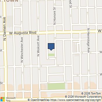 926 N Honore Street # 2 Chicago, IL MLS# 12619339