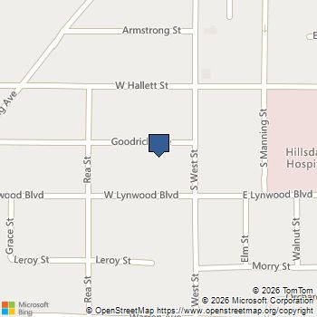 16 Goodrich Avenue Hillsdale, MI MLS# 70551714